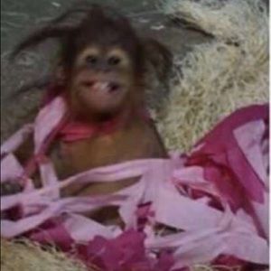 Meet your Posher, Uriel